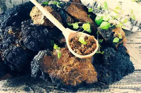 Mongolian Chaga Mushroom Powder 113 g